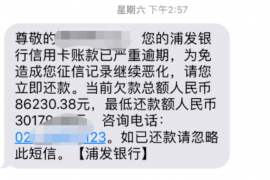 萍乡萍乡专业催债公司的催债流程和方法